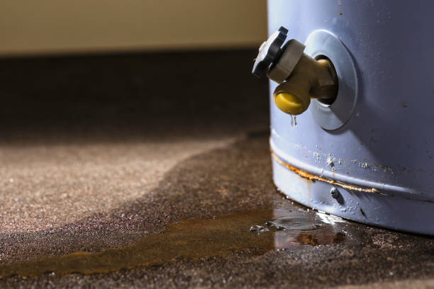 Best Water damage restoration near me  in Ludlow, KY