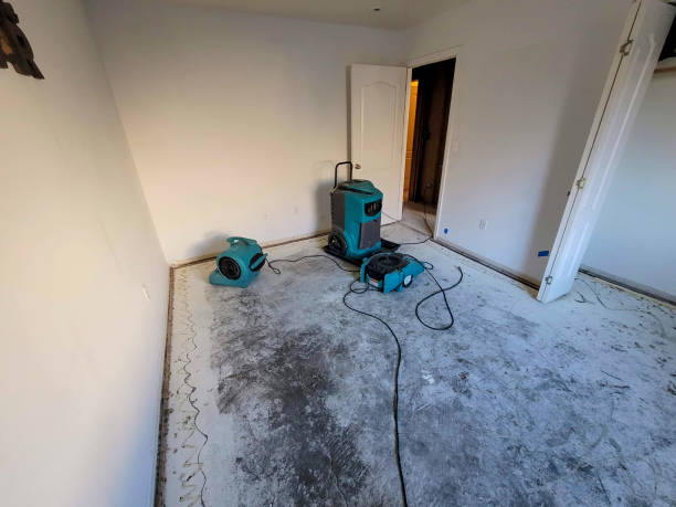 Best 24/7 water damage repair  in Ludlow, KY