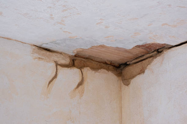 Best Water damage cleanup near me  in Ludlow, KY