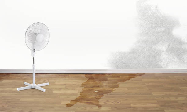 Best Emergency water damage restoration  in Ludlow, KY