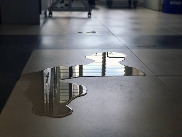 Best Commercial water damage restoration  in Ludlow, KY