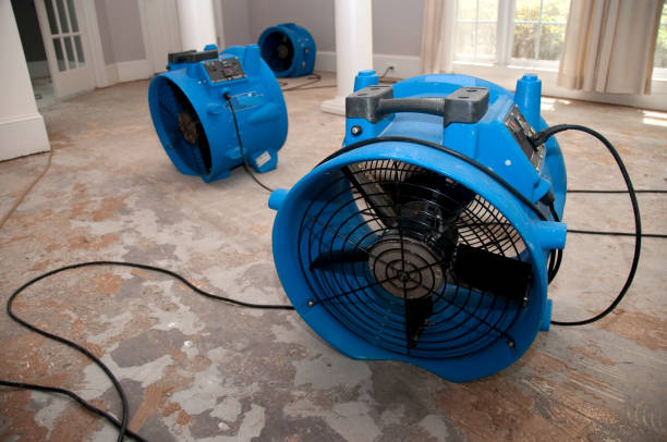  Ludlow, KY Water damage restoration Pros