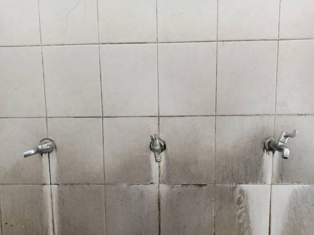 Best Water damage restoration insurance claims  in Ludlow, KY