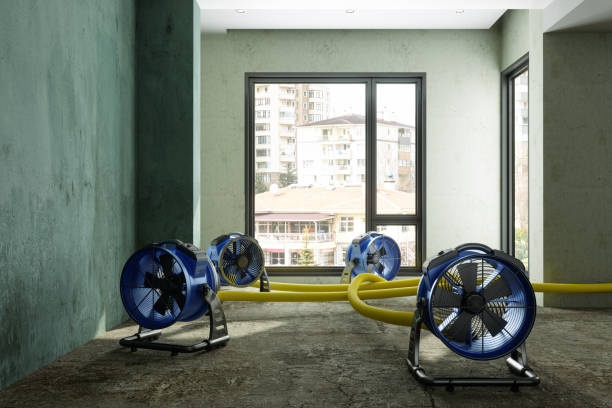 Best Fire Damage Restoration  in Ludlow, KY